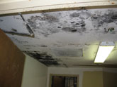 Mold growth on ceiling